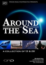 Affiche de Rendez-vous avec le dragon