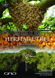 Affiche de Des arbres en héritages (Indonésie/Russie)