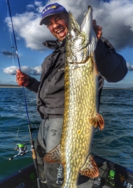 Poster of On the lure