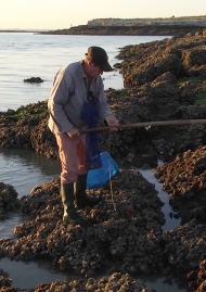Poster of High tide, low tide