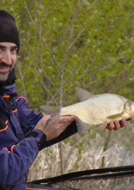 Poster of Feeder fishing or nothing