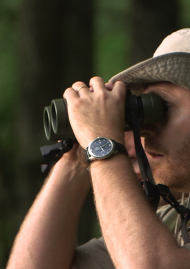 Poster of Stéphane Alsac, colors at the end of a gun
