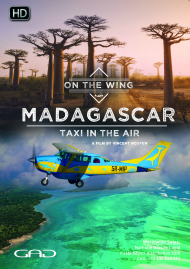 Poster of Taxi in the air (Madagascar)