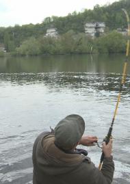 Poster of Fishing with live bait