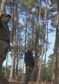 Poster of A family story