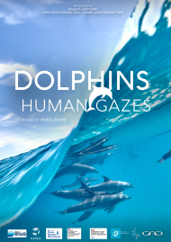 Affiche de Dauphins: regards d'humains