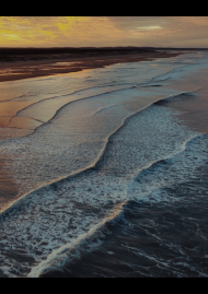 Affiche de L’île aux épaves