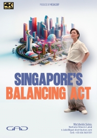 Affiche de Le pari de Singapour - Les enjeux d’une cité-État mondialisée