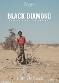 Poster of Black Diamond - The Hidden cost of charcoal