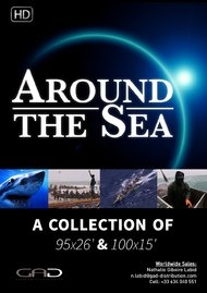 Affiche de Maitres et nageurs