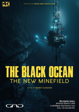 Poster of The Black Ocean: The New Minefield