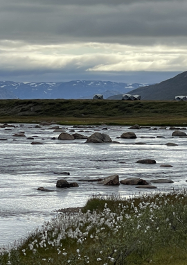 Poster of GREENLAND, THE CHAR OF CAMP NORTH