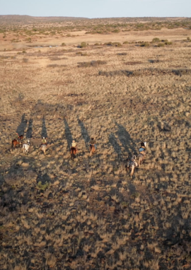 Affiche de AFRIQUE DU SUD, SUR UN AIR DE FAR WEST
