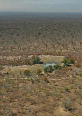 Poster of On the Trail of the Dagga Boys