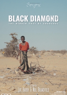 Affiche de Black Diamond - Ce qu'on ne voit pas brûler