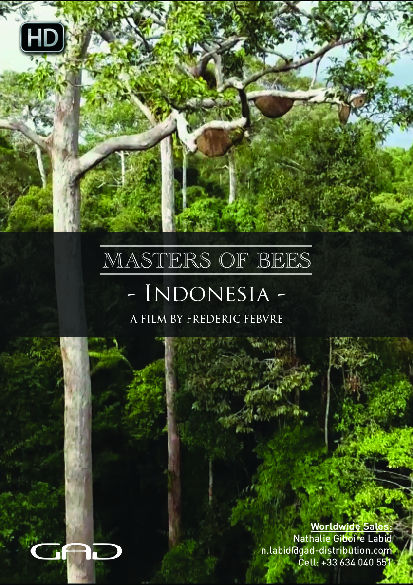 The of sacred honey (Indonesia) Masters of bees short version -